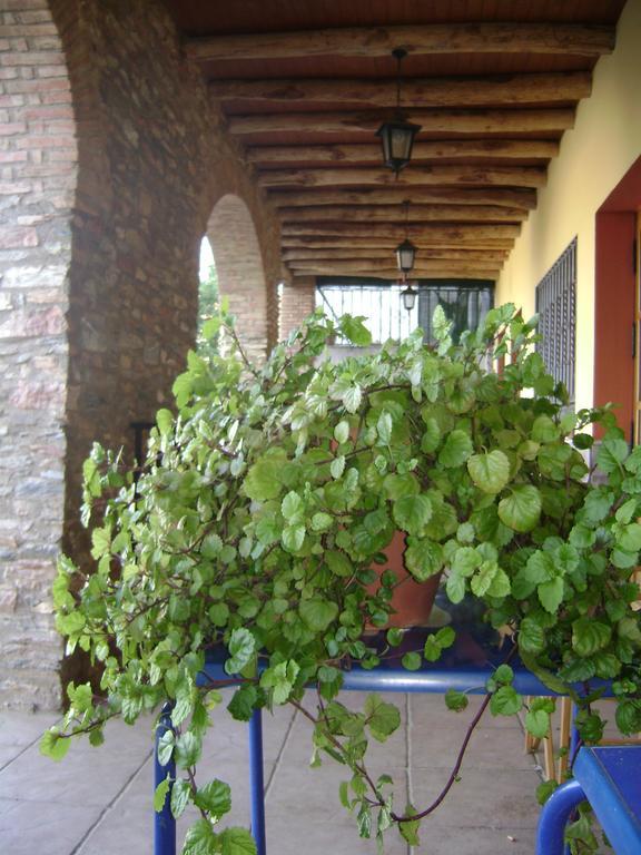 Gasthaus La Casa Del Cura Corteconcepción Exterior foto